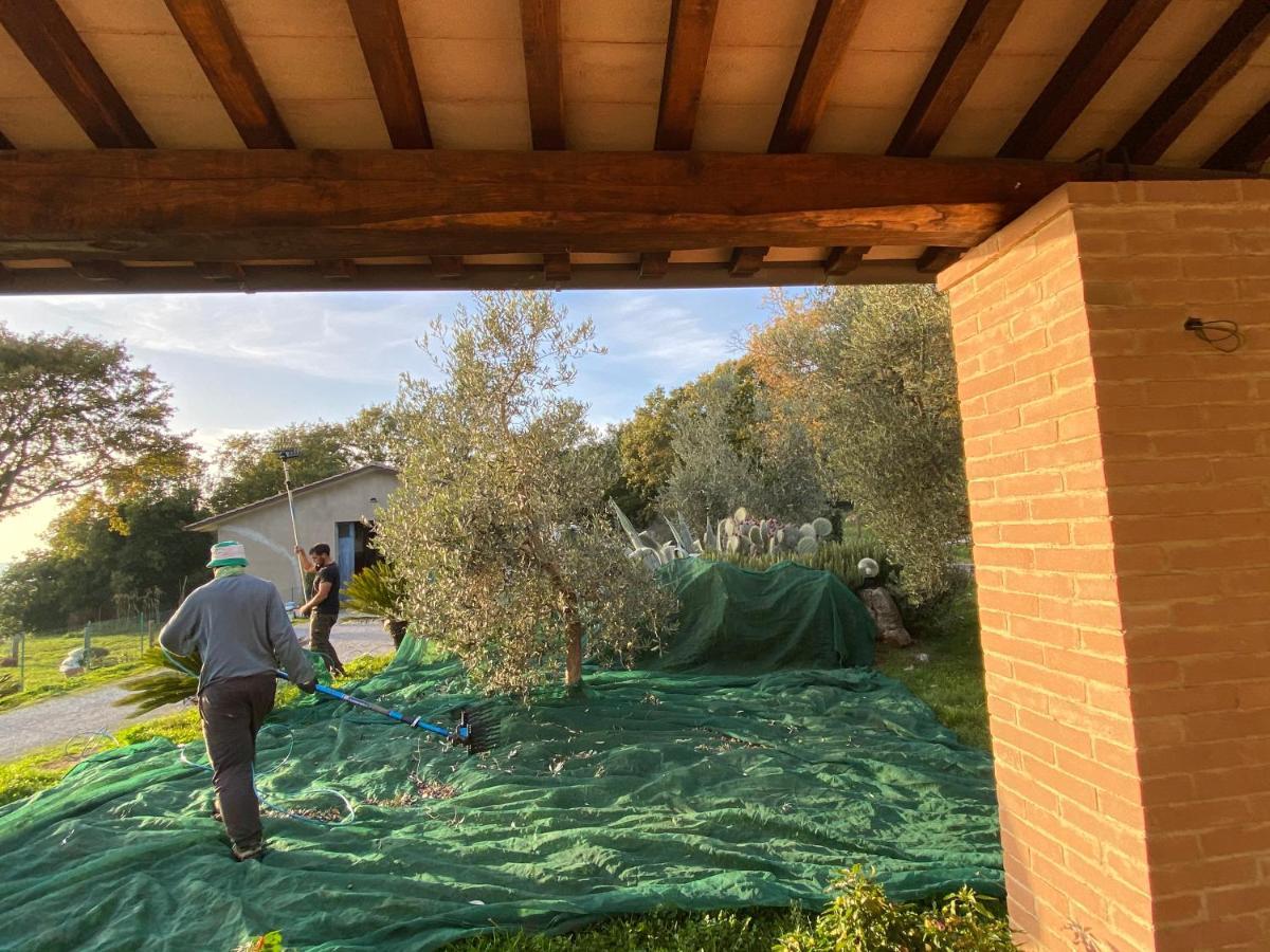 Agriturismo La Conserva Rocchette di Fazio Exteriör bild