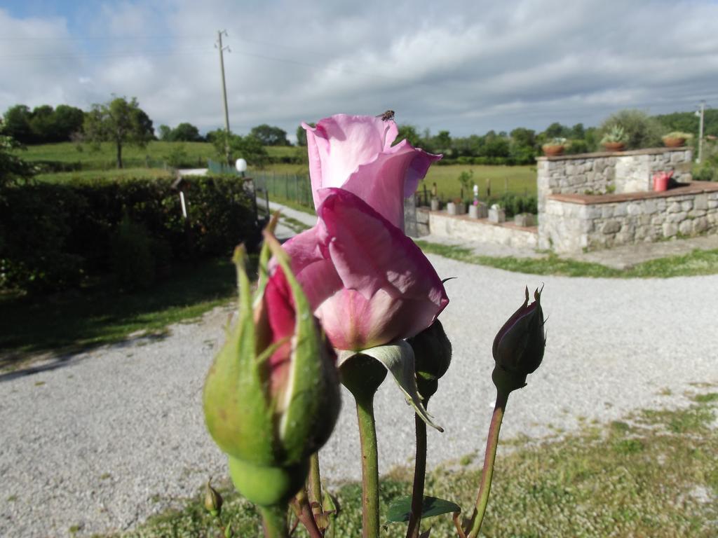 Agriturismo La Conserva Rocchette di Fazio Exteriör bild